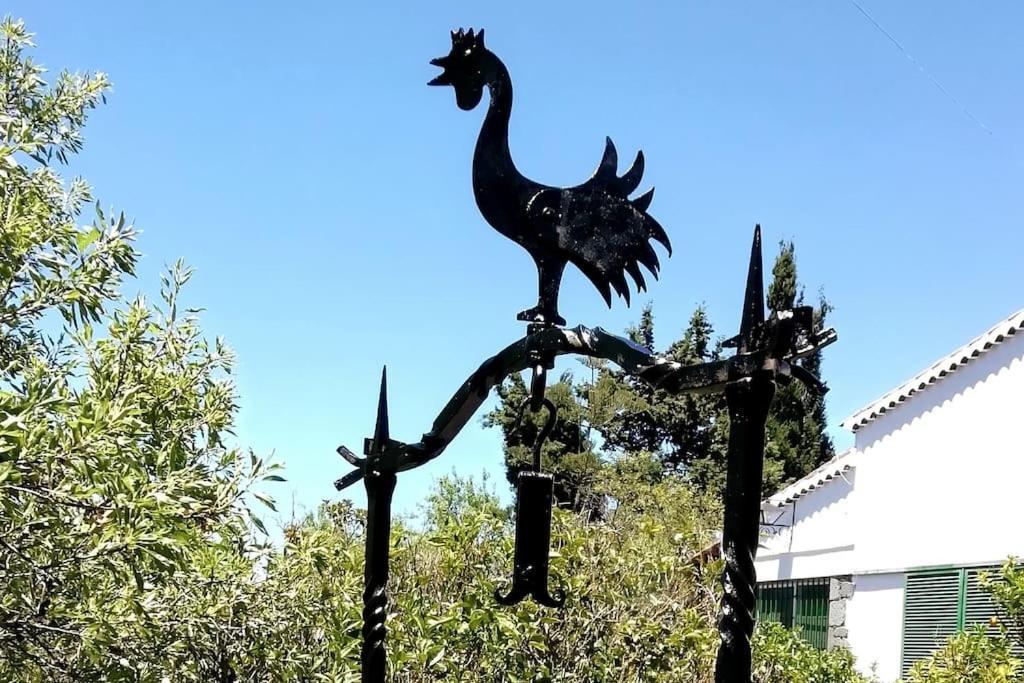 Casa La Veguetilla En San Mateo ベガ・デ・サン・マテオ エクステリア 写真