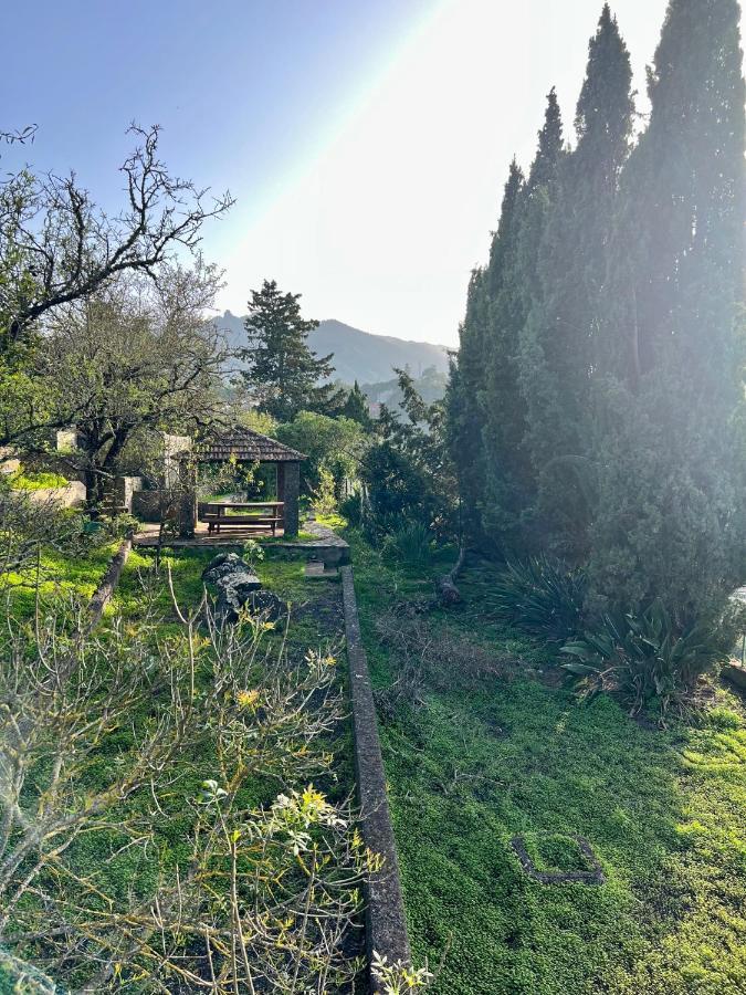 Casa La Veguetilla En San Mateo ベガ・デ・サン・マテオ エクステリア 写真