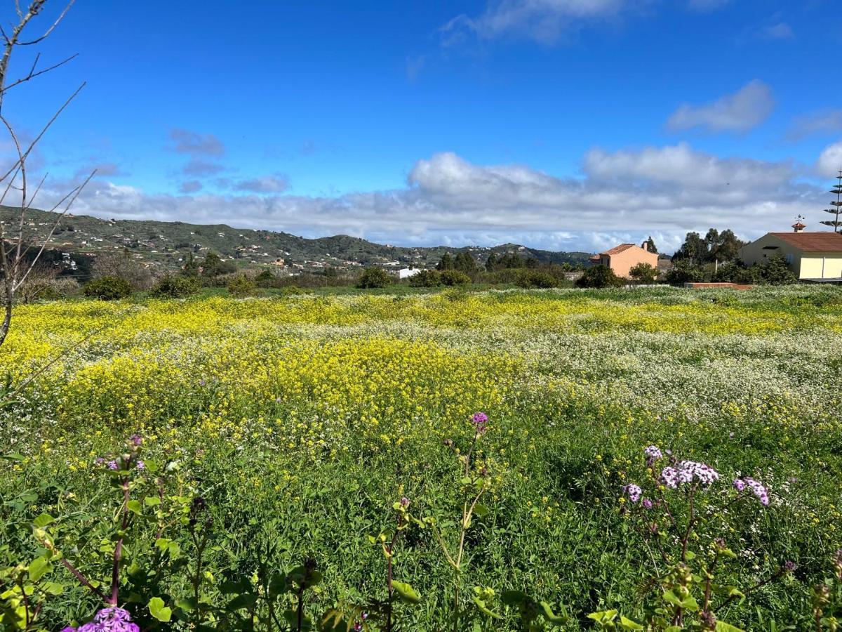 Casa La Veguetilla En San Mateo ベガ・デ・サン・マテオ エクステリア 写真